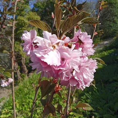 Solarolo Village Apartamento *